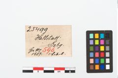 Etikett zu Bronzebogenfibel (NHMW-PRAE-025499)